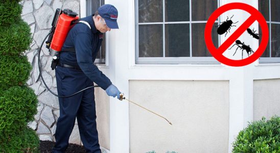 Çiftlikköy Akrep İlaçlama böcek ilaçlama ve haşere kontrolü — ilaclama-tr.com